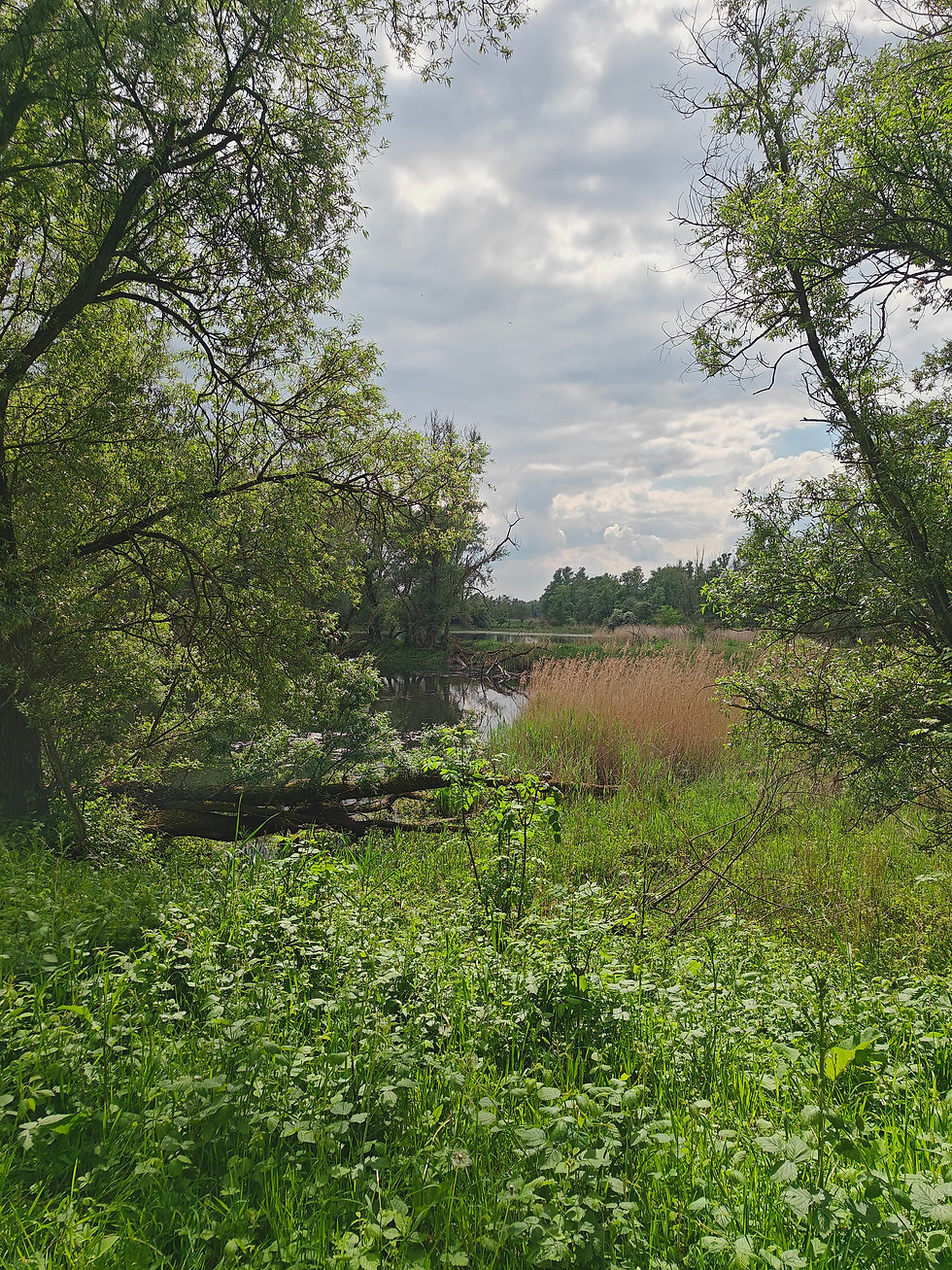 IMG20260508152915.jpg