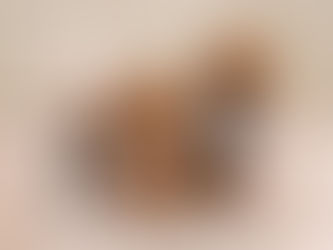 BiBi Hotel 泊ポートでワンちゃんと一緒に泊まれるお部屋の販売がスタートいたしました!