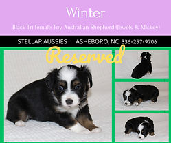 Cream Grey Simple Grid Open House Real E