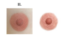 Eleven of 14 temporary tattoo nipple designs