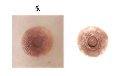 Five of 14 temporary tattoo nipple designs