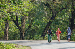 Murti River Stroll