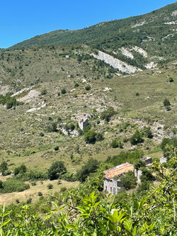 Vue depuis le vieux Noyers