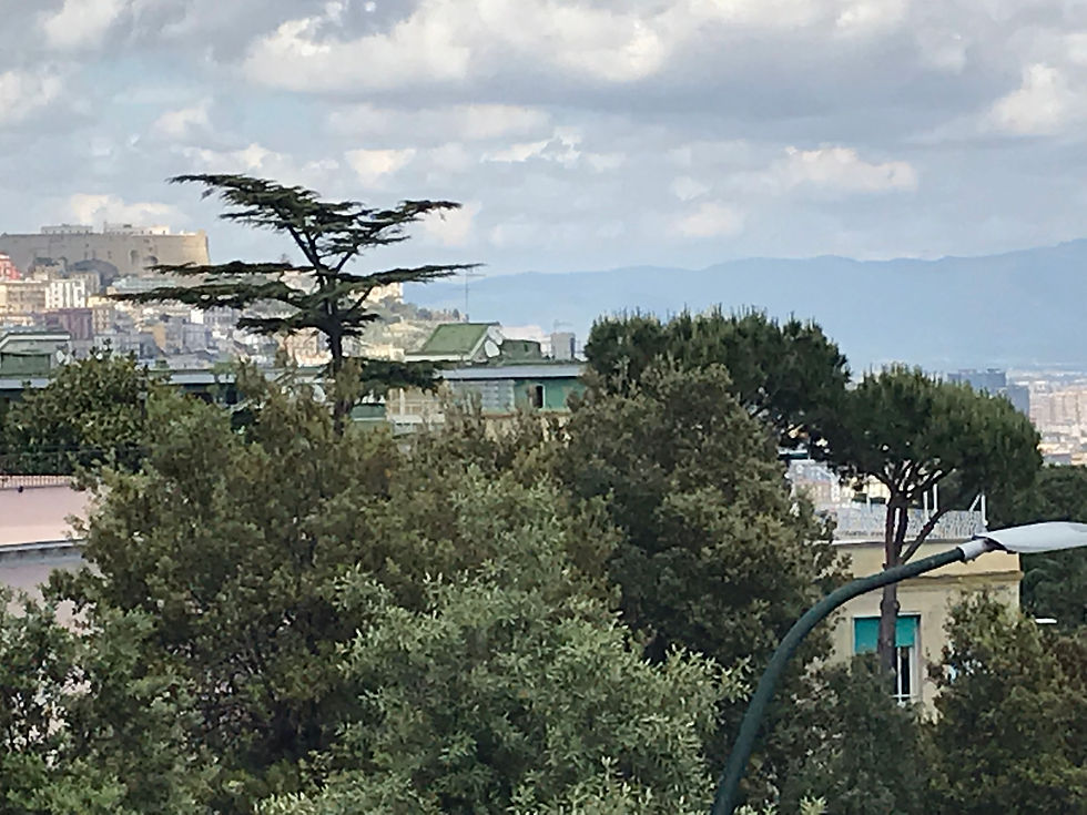 Le château Sant'Elmo au loin