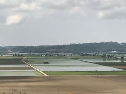 Rizières depuis les remparts