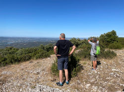 Forêt des Cèdres