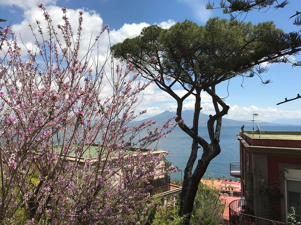 Parc des villas du bord de mer