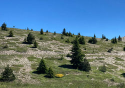 Montagne de Lure