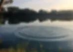 rippleinpond.webp