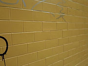 The Alphas | Archives