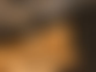 Friday Five: A Flash of Vibrancy