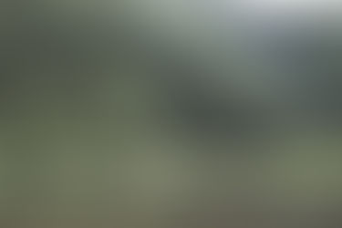 Another Empathic Journey with Meditation holding Ayahuasca 3/2/21 via Psychometry