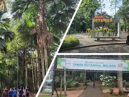 Melaka Botanical Garden: A Serene Oasis in the Heart of Melaka