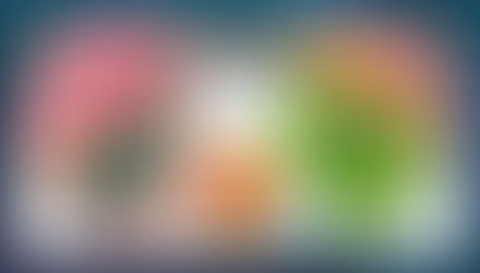 Group Twine and Phytoneers: 3D Chloroplast and Mitochondria Models and Their Interactions