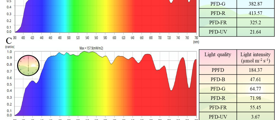 Optimising Okra (Abelmoschus esculentus L. Moench.) Fruit Yield and Physiological Responses through the Integration of Foliar Fertiliser at Different Timings