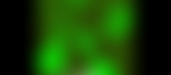 Plant Alarm Signals in Action! Rapid Systemic Ca2+ Waves Elicited by Wounding in Arabidopsis (WT vs. Mutant)