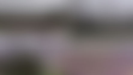 Shanghai City Walk: The French Charm of Fuxing Park (复兴公园) Walking Tour