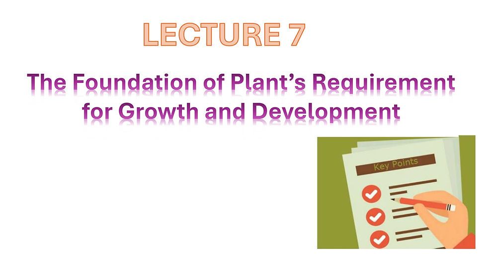 Crop Physiology Lesson: The Foundation of Plant’s Requirement for Growth and Development