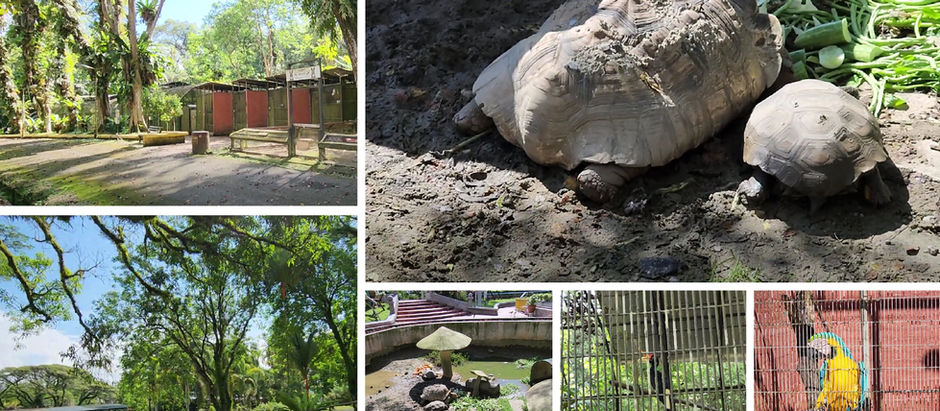 Exploring Taman Tumbina Bintulu: Nature Walk, Aviary & The Best City View!