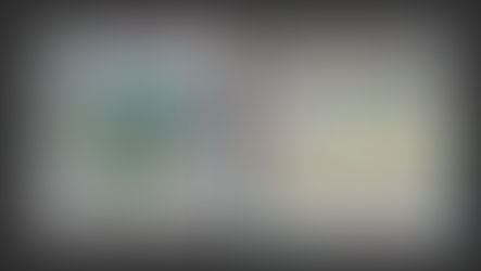 Group Kacang Pendek & Passiflora: 3D Chloroplast and Mitochondria Models and Their Interactions