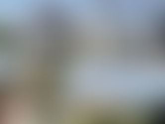 Pramod Navalkar Viewing Gallery, Mumbai: History, Views, and Hanging Gardens