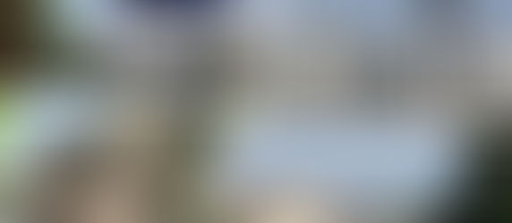 Pramod Navalkar Viewing Gallery, Mumbai: History, Views, and Hanging Gardens