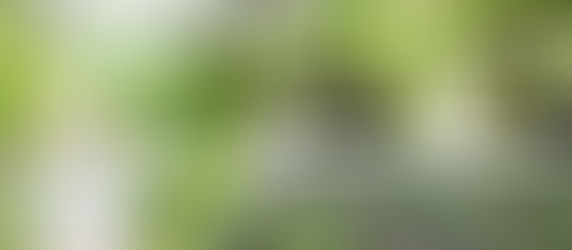 DJI Mini 4 Pro: Immersive Drone Exploration of Cameron Highlands at Parit Fall🌊🌲