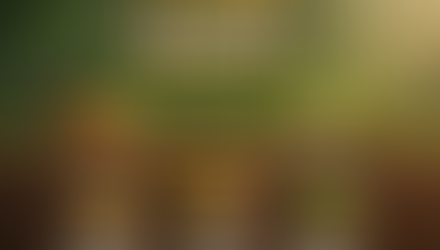 AGR 3301 Lesson 2: Seed Germination and Dormancy