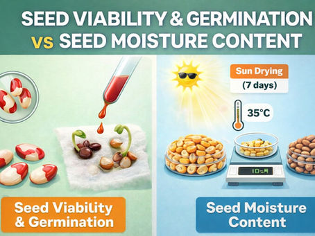 AGR3301 Crop Physiology Practical: Seed Viability and Moisture Content