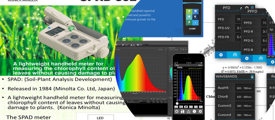 Crop Physiology Lesson: LI-180 Spectrometer and SPAD Meter  📊🌿
