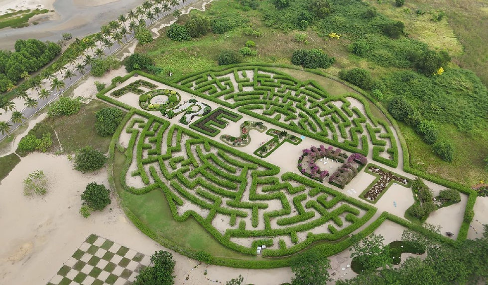 DJI Mini 4 Pro: Forest City Maze Garden