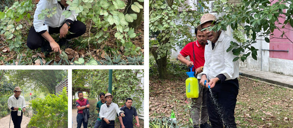 Sesi 3: Demonstrasi Teknik Pembajaan Granul Dan Foliar