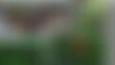 Insta360 Ace Pro: Wild Encounters & Animal Feeding at Melaka Butterfly & Reptile Sanctuary Part 2