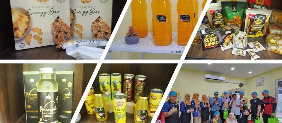 Unveiling the Versatility of Pineapples at the Pineapple Agrotechnology Park in Johor. Part 2