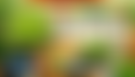 AGR3301 Crop Physiology: Crop Growth Analysis Experiment Manual