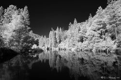 Along he river - Infrared Black & White
