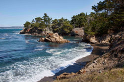 Pt Lobos - #9879