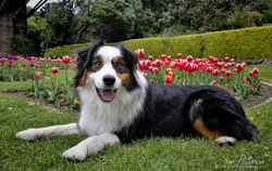 "Spring Has Arrived"