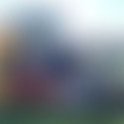 【イベント】モラージュ柏スポーツフェスティバル