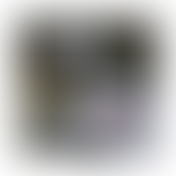 【大会】SEAN GARNIERからスペシャルメッセージ