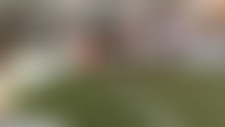 10/8(月・祝)ストリートサッカーPANNA GAME会 開催 参加者募集のお知らせ