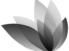 petalos-01-ConvertImage.jpg