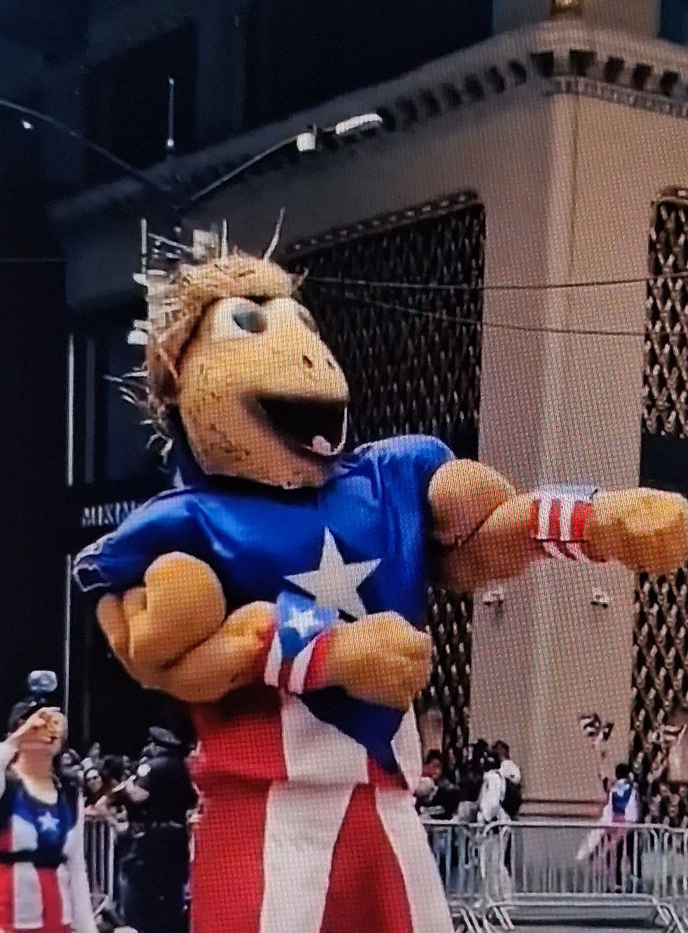 Puerto Rico's treasured Coqui