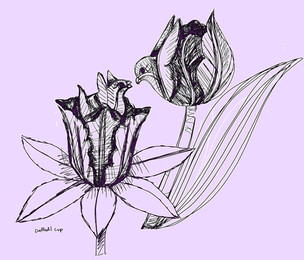 15.)Mama and Daffodil Baby.jpeg