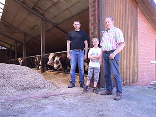 image3.jpeg