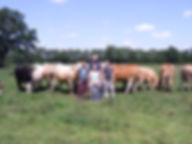 image2.jpeg