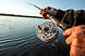 AdobeStock_293413662.jpeg
