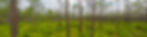 AdobeStock_273958207 (1)