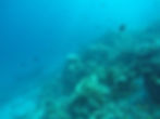 Biyadhoo reef