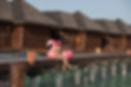 Resort time with flamingo floaties